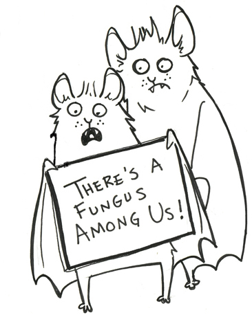 A cartoon of two bats holding a sign that reads a" there's a fungus among us"