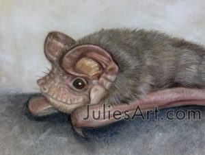 {{brizy_dc_image_alt entityId=