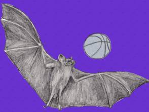 {{brizy_dc_image_alt entityId=